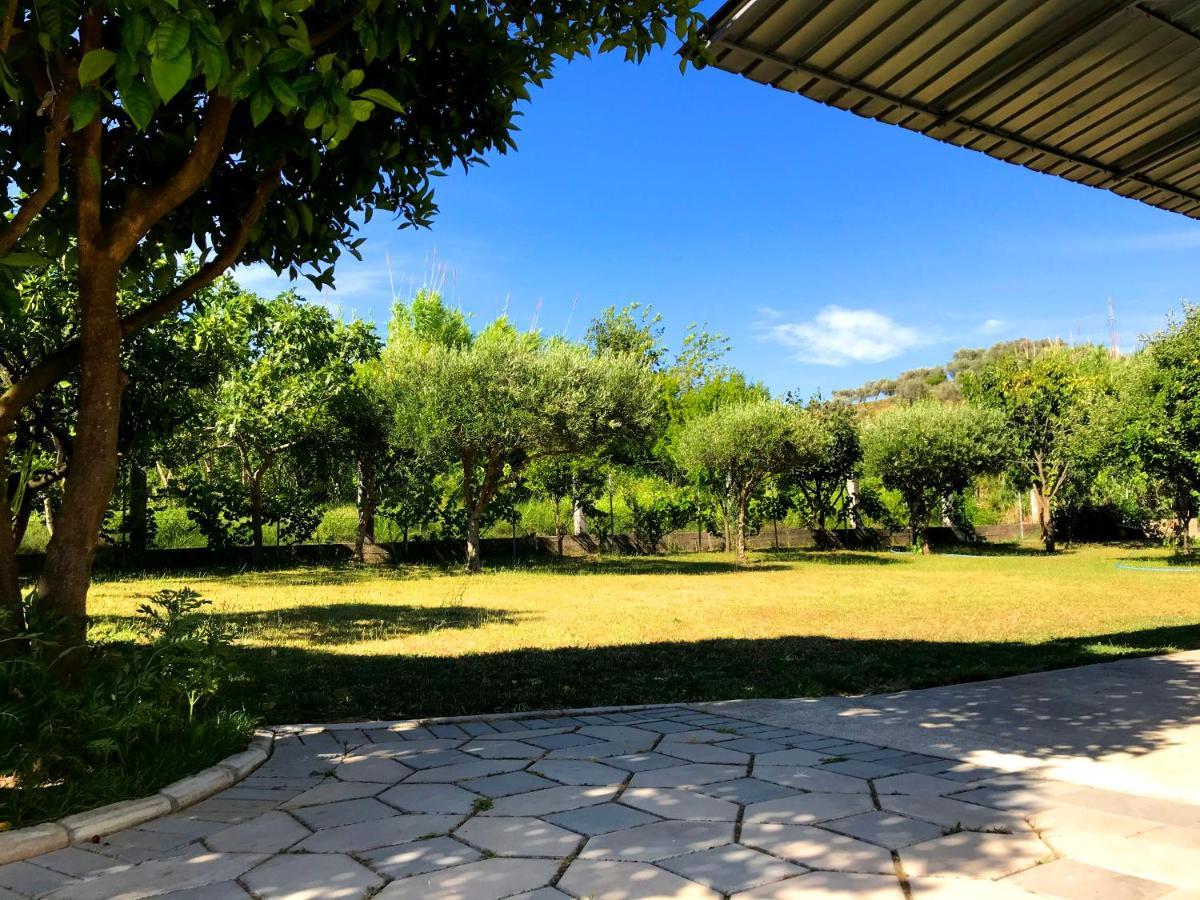 Apartments Kraja Ούλτσιν Εξωτερικό φωτογραφία