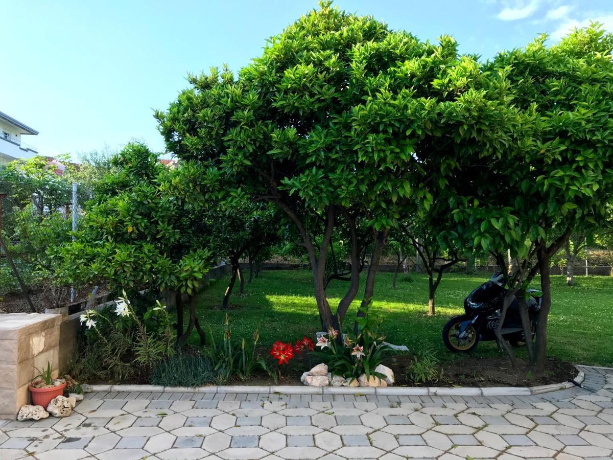 Apartments Kraja Ούλτσιν Εξωτερικό φωτογραφία